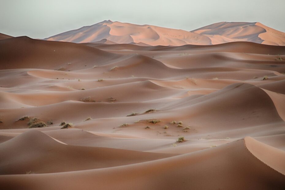 2 Days Desert Tour from Fes to Marrakech