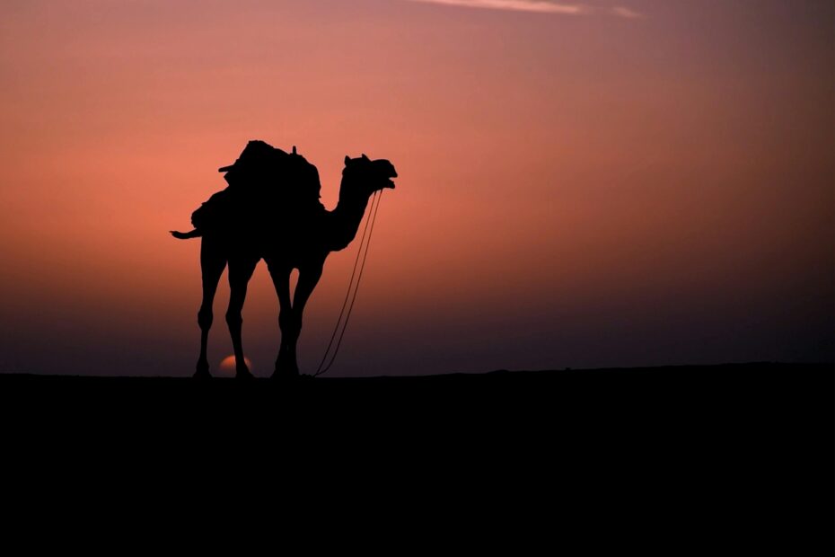 5 days desert tour from Fes to Marrakech