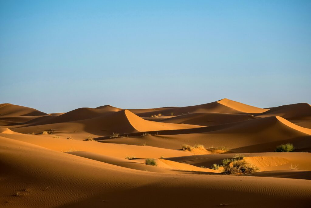 7 Days Desert Tour from Marrakech to Casablanca