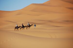 Overnight Camel Trekking in Merzouga